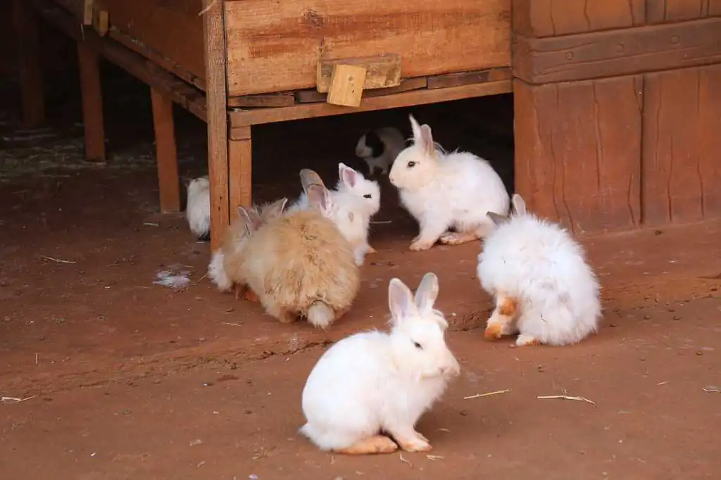 Carpe Diem Eco Resort Olímpia